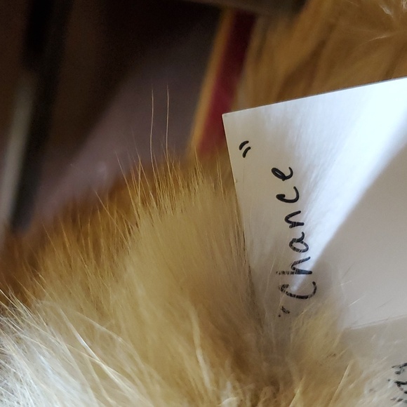 💥SOLD💥Large Authentic Mink Collar - Picture 14 of 14